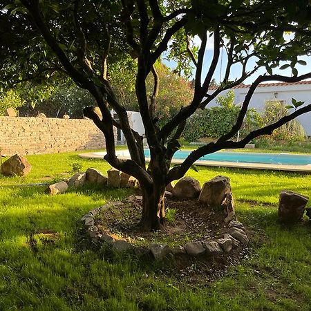 Casa Rural Con Piscina Y Jacuzzi En Conil De La Frontera Vila Cádis Exterior foto