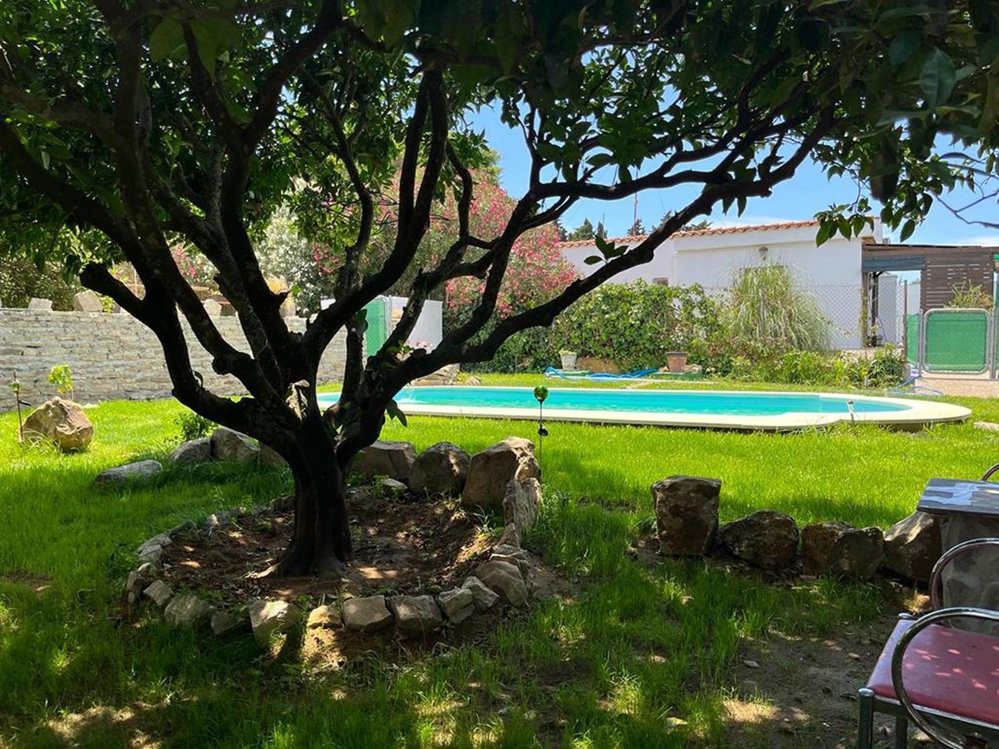 Casa Rural Con Piscina Y Jacuzzi En Conil De La Frontera Vila Cádis Exterior foto